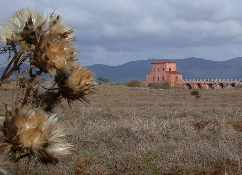 La Diaccia Botrona - Padule di Castiglione della Pescaia